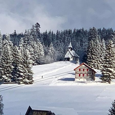 Haus Am Sonnenberg,Todtnauberg, Ferienwohnung 002, Direkt Am Skilift-Skipiste, Naehe Feldberg Екстер'єр фото