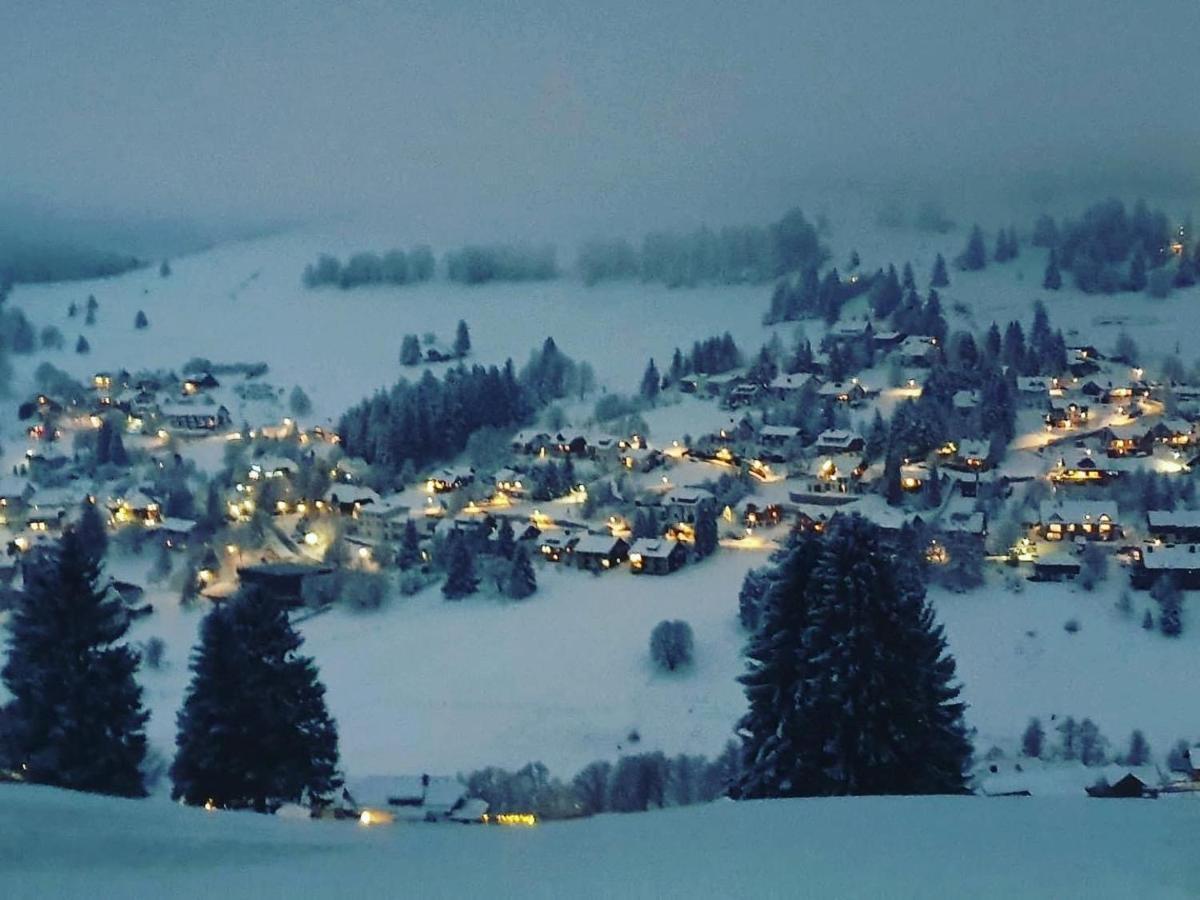 Haus Am Sonnenberg,Todtnauberg, Ferienwohnung 002, Direkt Am Skilift-Skipiste, Naehe Feldberg Екстер'єр фото