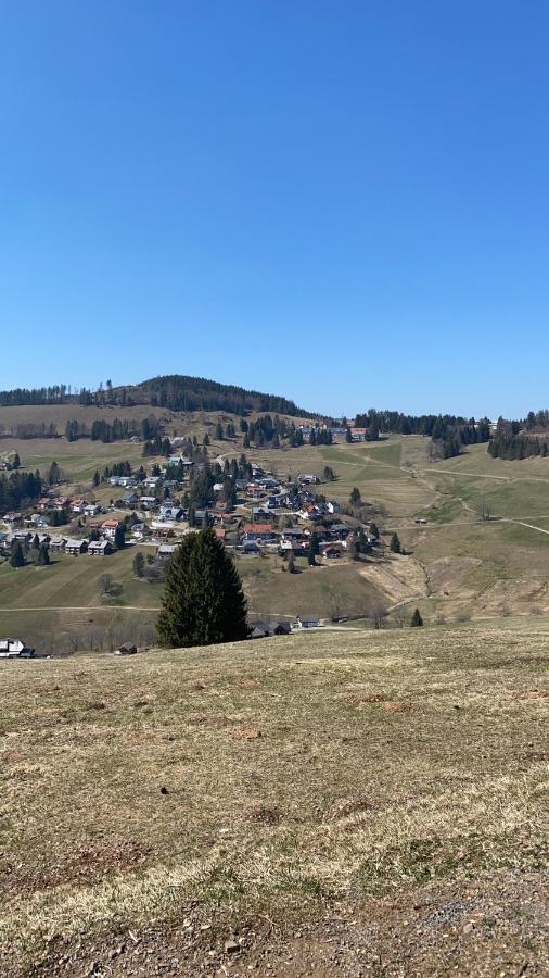 Haus Am Sonnenberg,Todtnauberg, Ferienwohnung 002, Direkt Am Skilift-Skipiste, Naehe Feldberg Екстер'єр фото