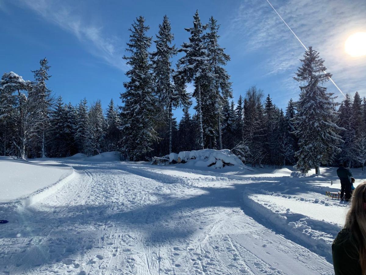 Haus Am Sonnenberg,Todtnauberg, Ferienwohnung 002, Direkt Am Skilift-Skipiste, Naehe Feldberg Екстер'єр фото