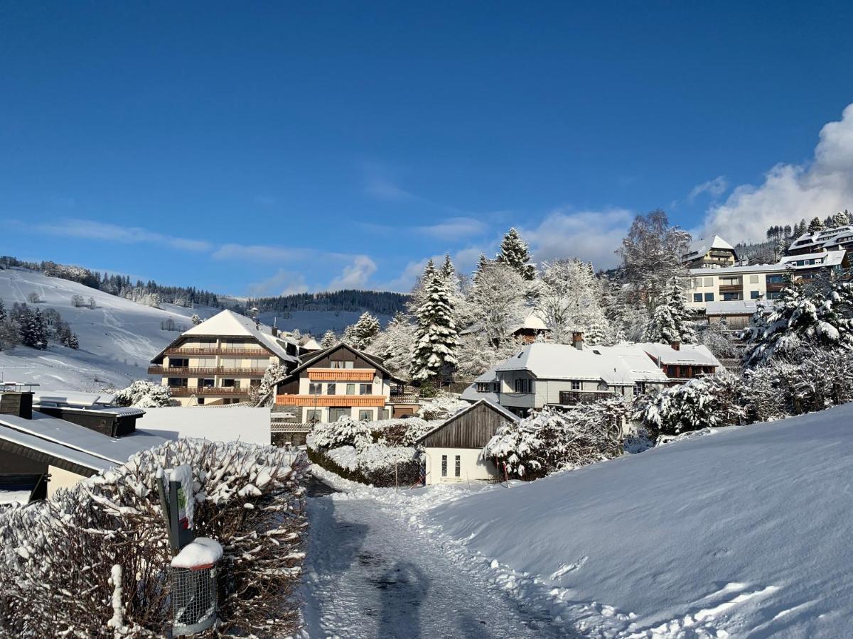 Haus Am Sonnenberg,Todtnauberg, Ferienwohnung 002, Direkt Am Skilift-Skipiste, Naehe Feldberg Екстер'єр фото